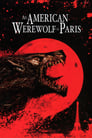 Plakat Amerykański wilkołak w Paryżu