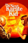 Plakat Karate Kid IV: Mistrz i uczennica