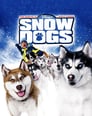 Plakat Śnieżne psy