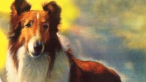 Grafika z Lassie z Malowanych Wzgórz