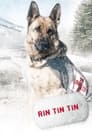 Plakat Rin Tin Tin