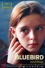 Plakat Niebieski ptak (film 2004)