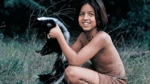Zdjęcie Księga dżungli. Opowieść Mowgliego