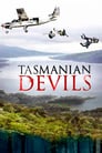 Plakat Diabeł Tasmański