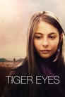 Plakat Tygrysie oczy