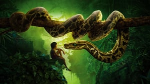 Grafika z Księga dżungli (film 2016)