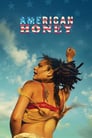 Plakat American Honey