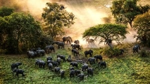 Zdjęcie Ocalić nosorożce