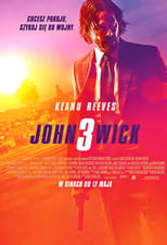 Plakat CANAL+ FILM W AKCJI: John Wick 3