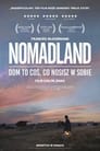 Plakat Nomadland