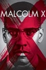 Plakat Malcolm X