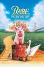 Plakat Babe: świnka w mieście