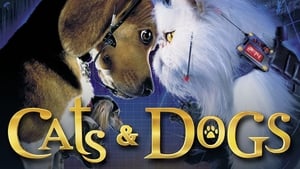 Grafika z Psy i koty