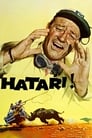 Plakat Hatari