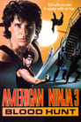 Plakat Amerykański ninja 3