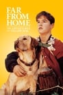Plakat Daleko od domu: Przygody żółtego psa