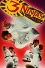 Plakat Małolaty Ninja na wojennej ścieżce