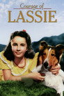 Plakat Odwaga Lassie