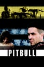 Plakat Pitbull