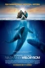 Plakat Na ratunek wielorybom
