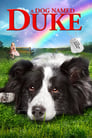 Plakat Pies imieniem Duke