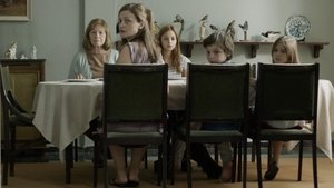 Grafika z Miss Violence