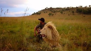 Zdjęcie Afryka – Wyprawa na safari