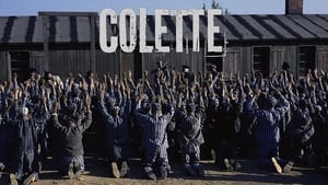 Grafika z Colette (film 2013)
