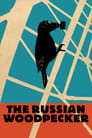 Plakat Rosyjski dzięcioł
