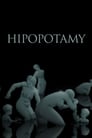 Plakat Hipopotamy