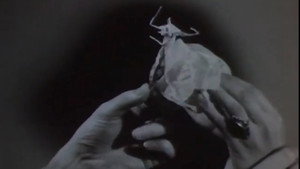 Zdjęcie Oczekiwanie (film 1962)
