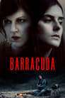 Plakat Barrakuda