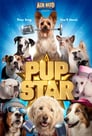 Plakat Pup Star