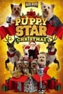 Plakat Puppy Star: Boże Narodzenie
