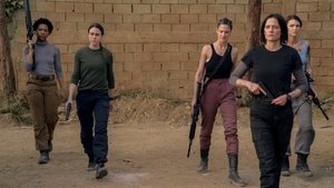 Zdjęcie Anioły wojny