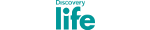 Logo Discovery Life