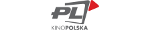 Logo Kino Polska