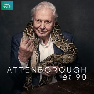 90. urodziny Davida Attenborough w Showmax