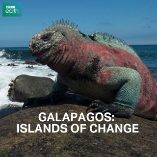 Galapagos: Archipelag zmian w Showmax