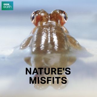 Nature's Misfits (Natural World) w Showmax