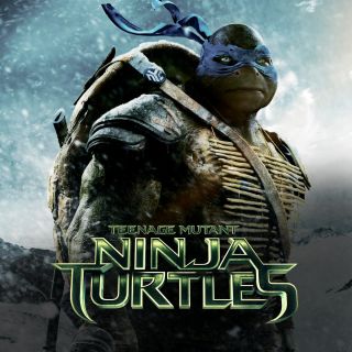 Wojownicze Żółwie Ninja w Showmax